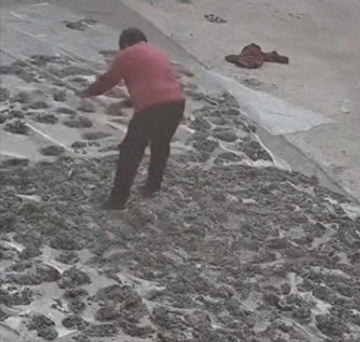 趣味竞猜-80岁老太毁水泥地后续：损失超5000元，子女连夜返回，原因太离谱